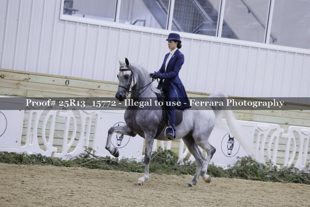 Proof 25R13_15772