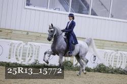 25R13_15772 proof