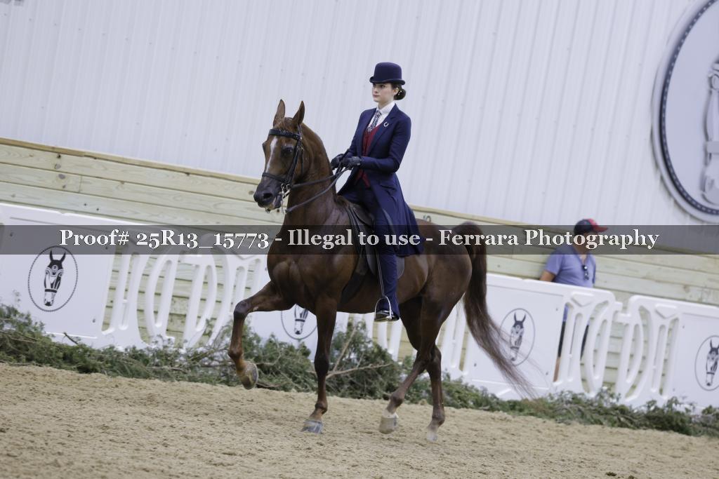 Proof 25R13_15773