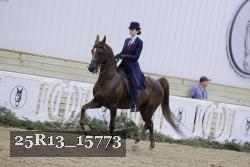 25R13_15773 proof
