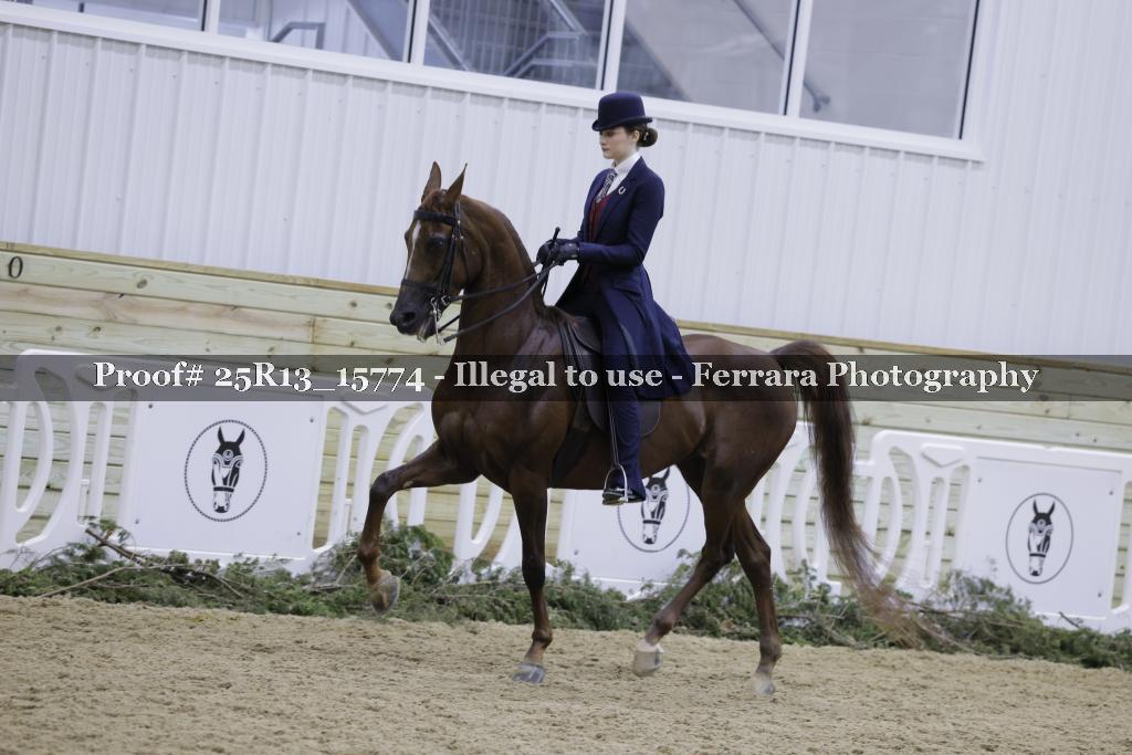 Proof 25R13_15774
