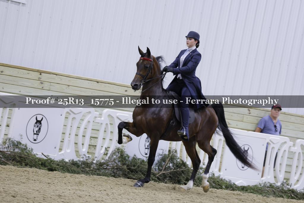 Proof 25R13_15775