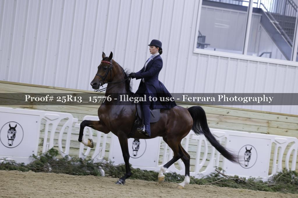 Proof 25R13_15776