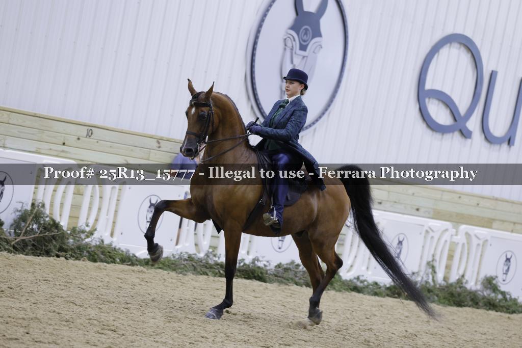 Proof 25R13_15777