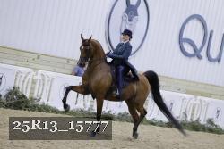 25R13_15777 proof