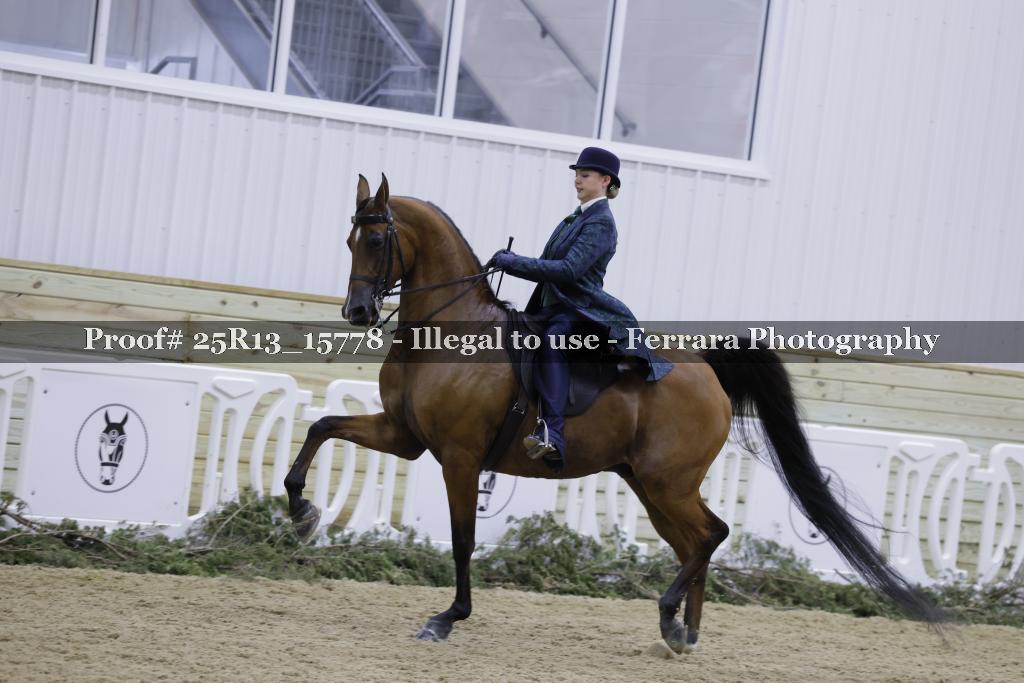 Proof 25R13_15778