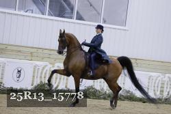 25R13_15778 proof