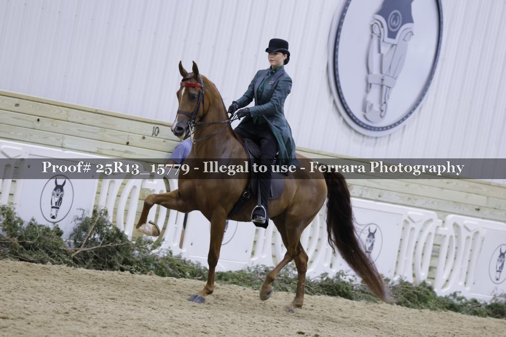 Proof 25R13_15779