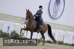 25R13_15779 proof