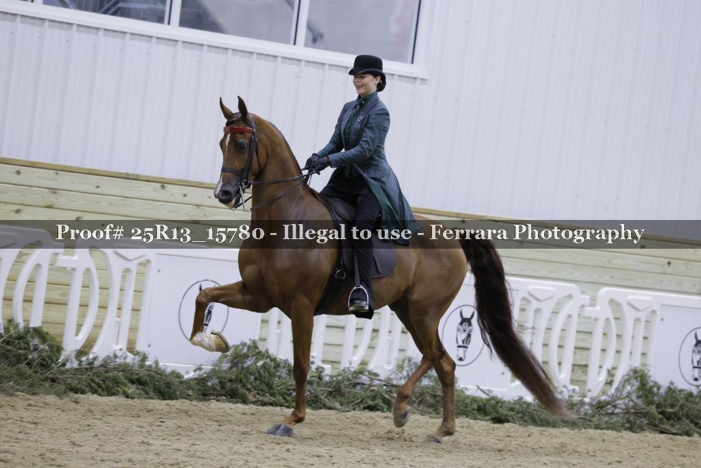 Proof 25R13_15780