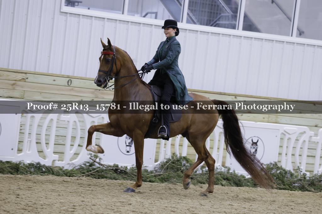 Proof 25R13_15781