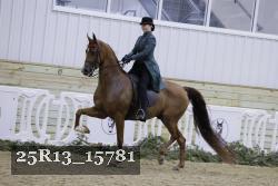 25R13_15781 proof