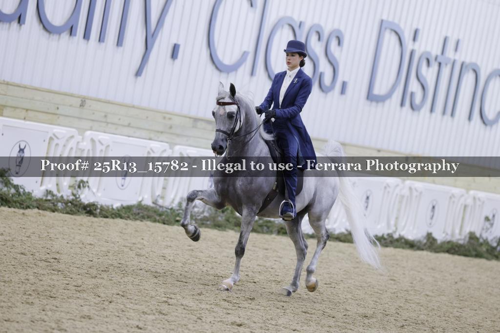 Proof 25R13_15782