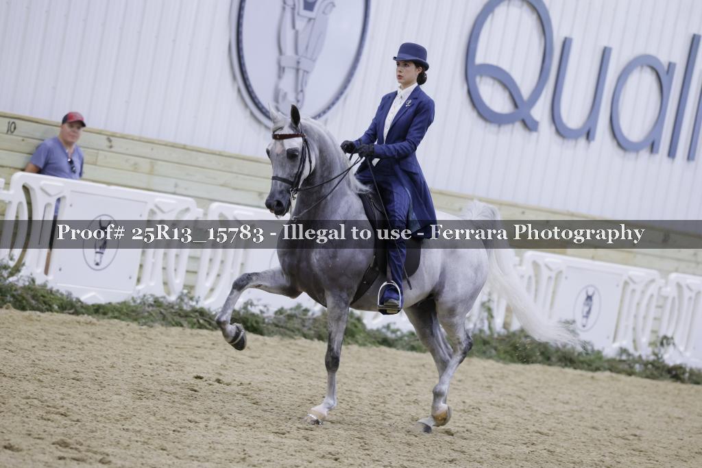 Proof 25R13_15783