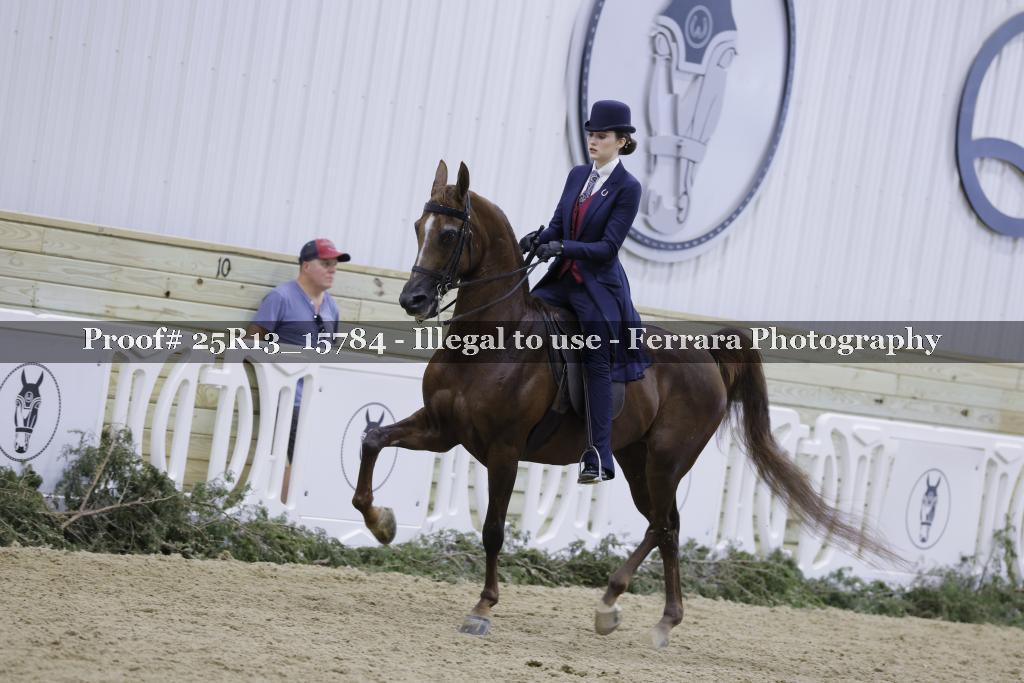 Proof 25R13_15784