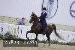 25R13_15784 proof