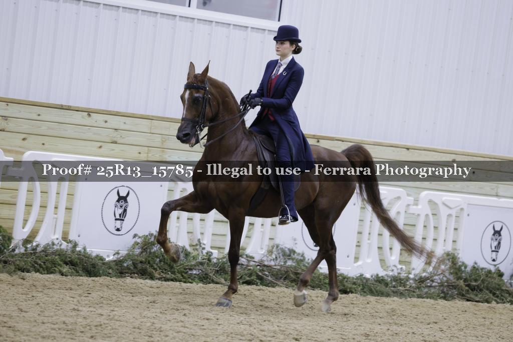 Proof 25R13_15785
