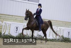 25R13_15785 proof