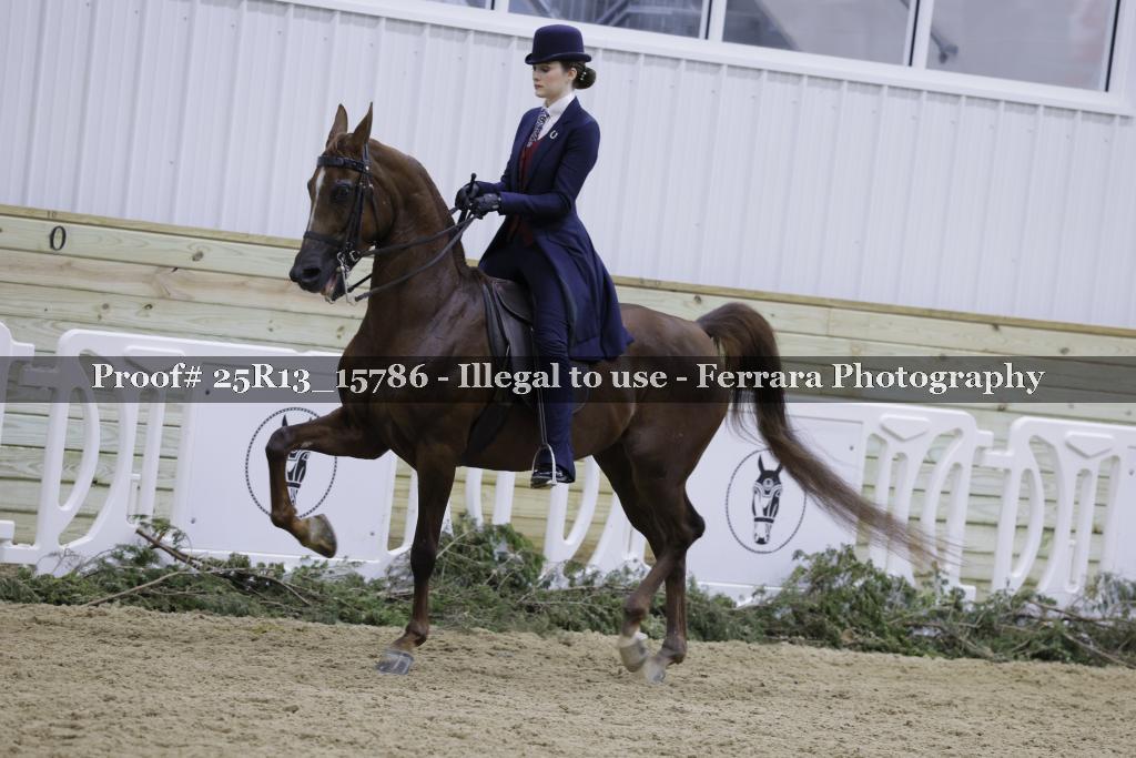 Proof 25R13_15786