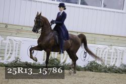 25R13_15786 proof