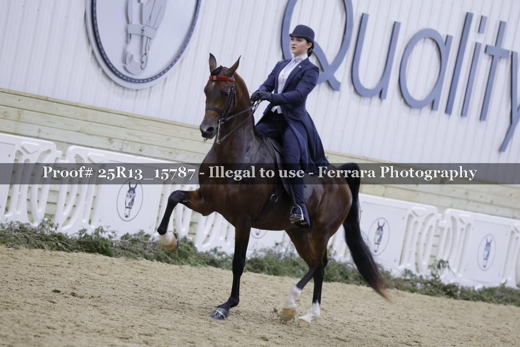 Proof 25R13_15787