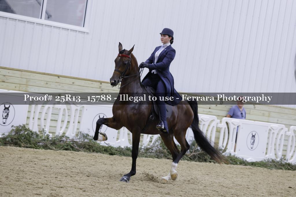 Proof 25R13_15788