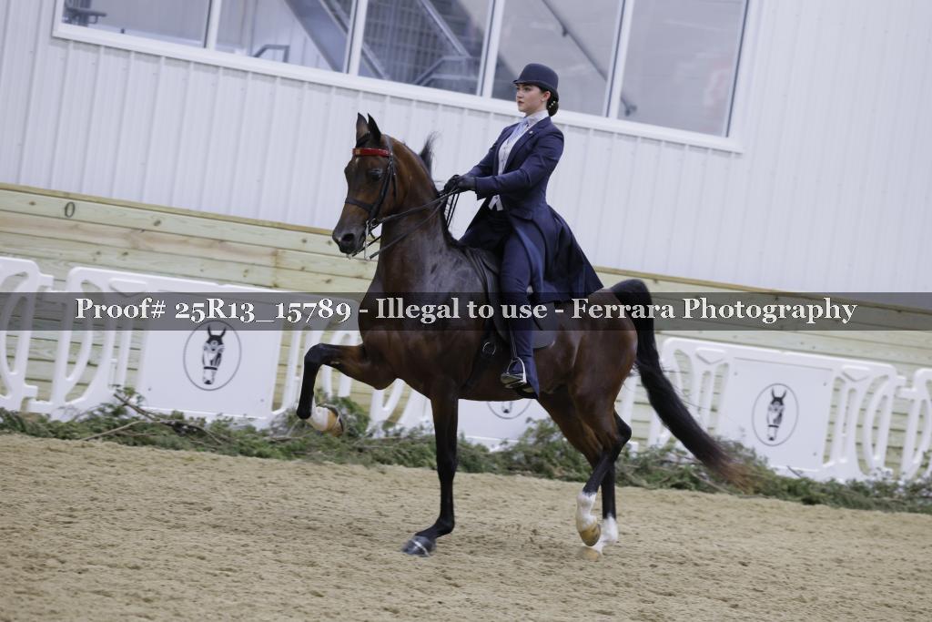 Proof 25R13_15789