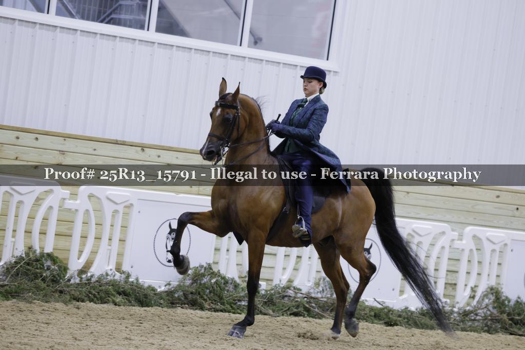 Proof 25R13_15791