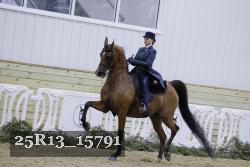 25R13_15791 proof