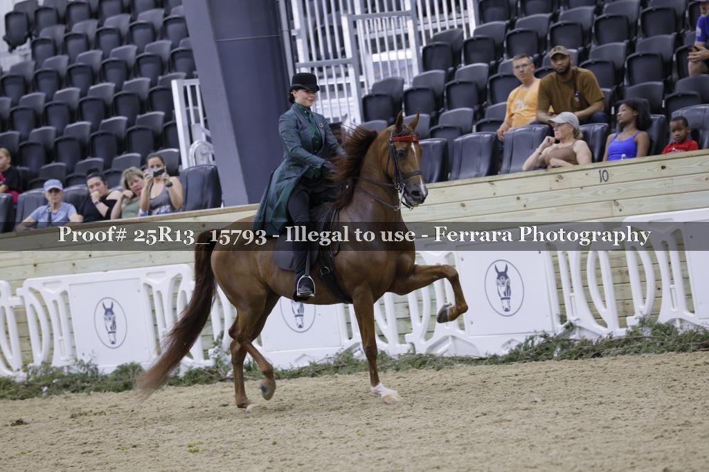 Proof 25R13_15793