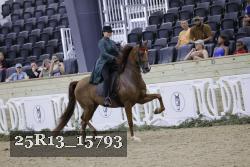 25R13_15793 proof