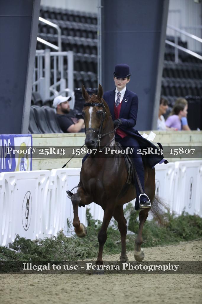 Proof 25R13_15807