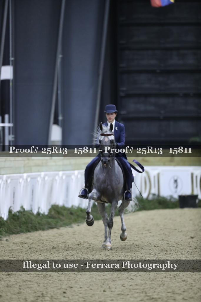 Proof 25R13_15811