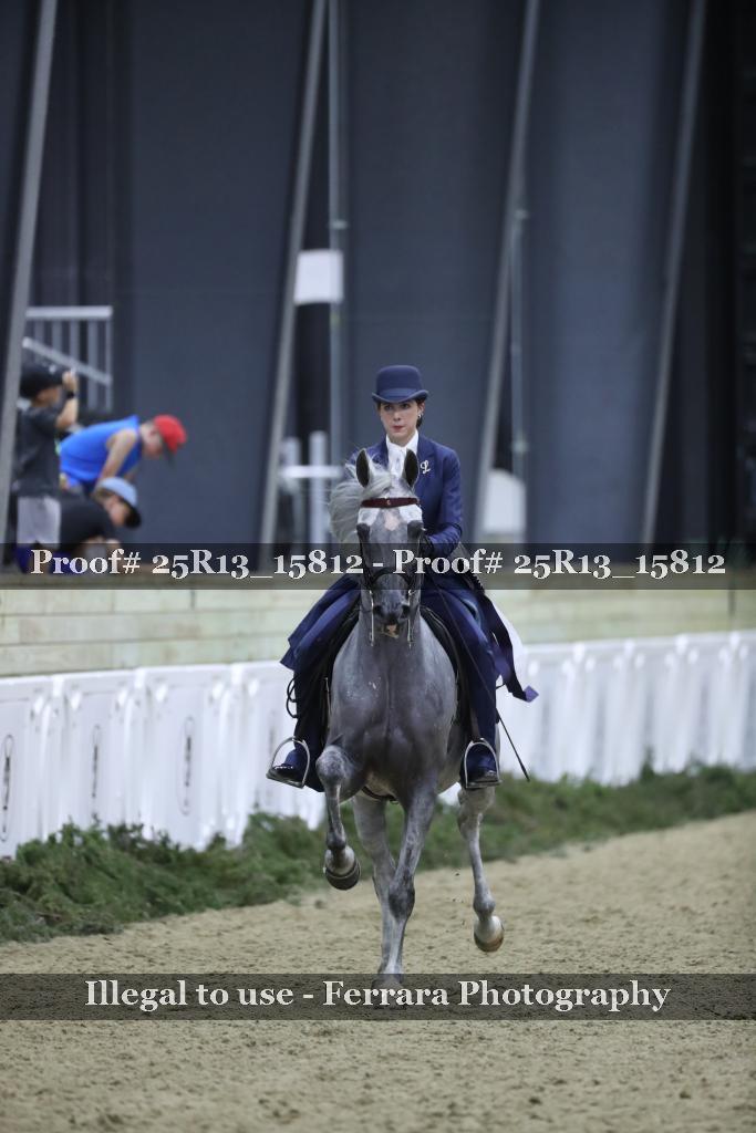 Proof 25R13_15812