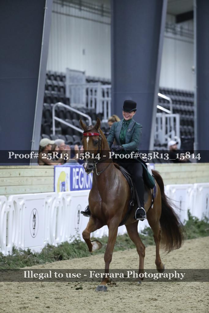 Proof 25R13_15814