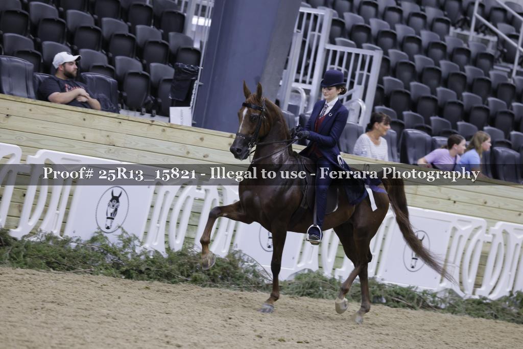 Proof 25R13_15821