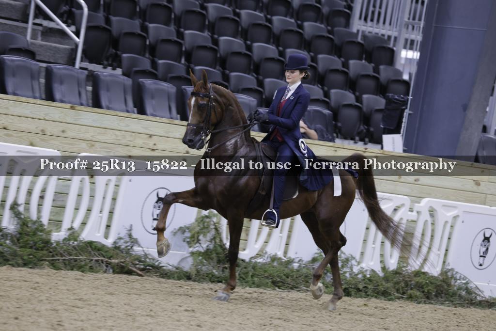 Proof 25R13_15822