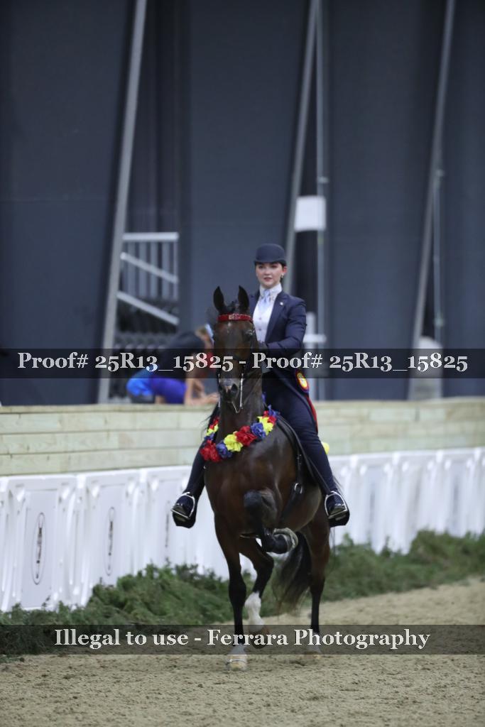 Proof 25R13_15825