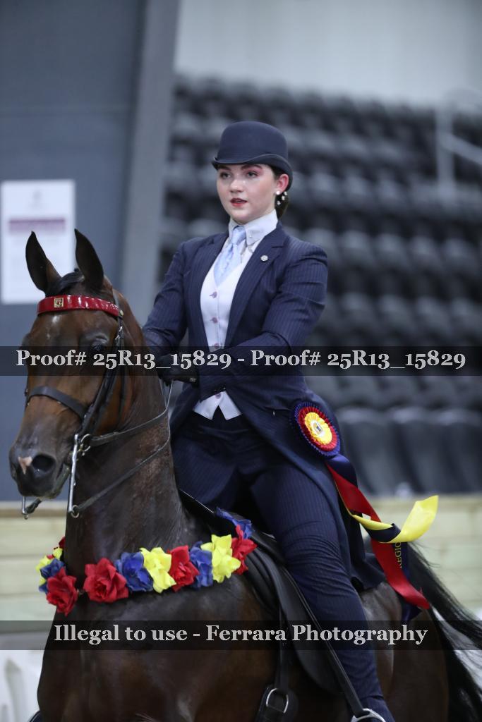 Proof 25R13_15829