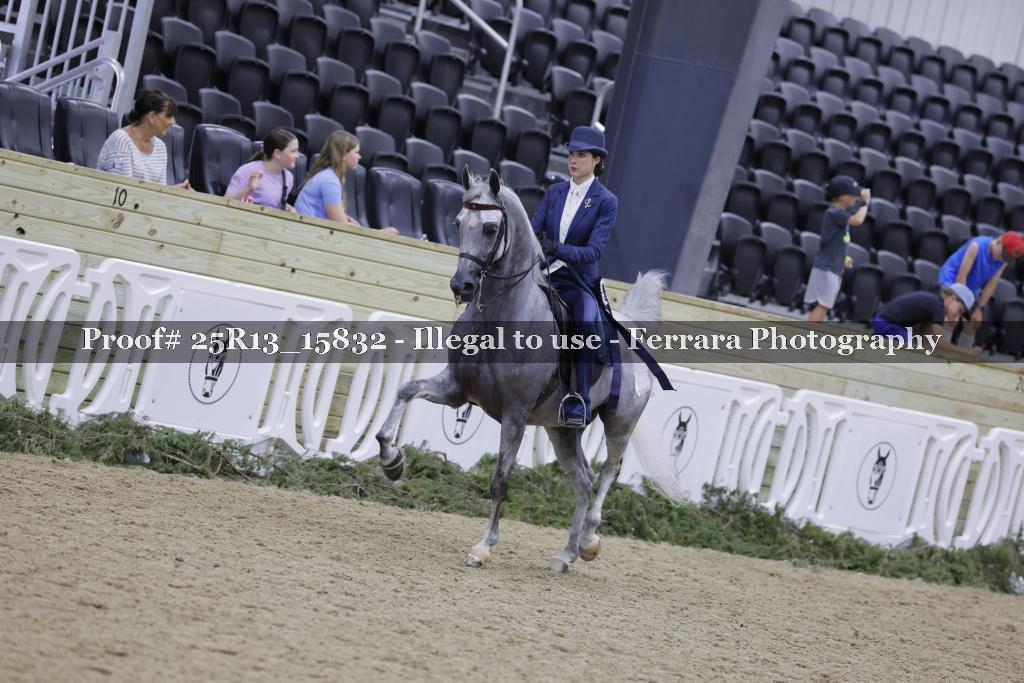 Proof 25R13_15832