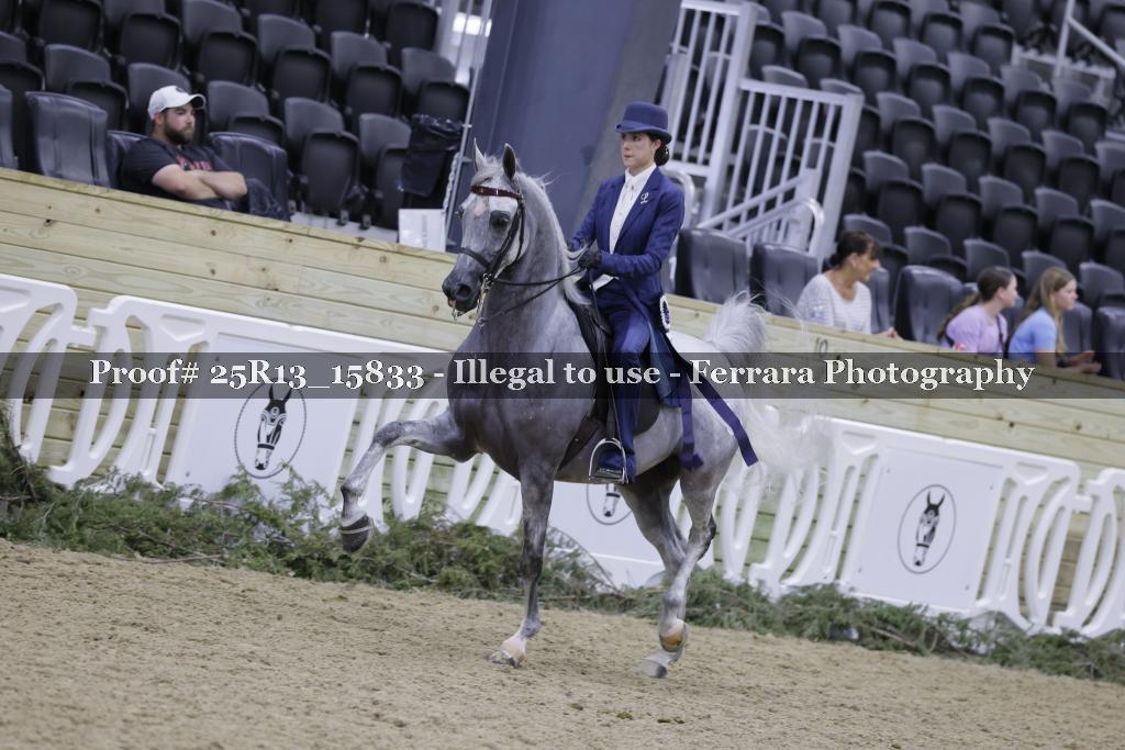 Proof 25R13_15833