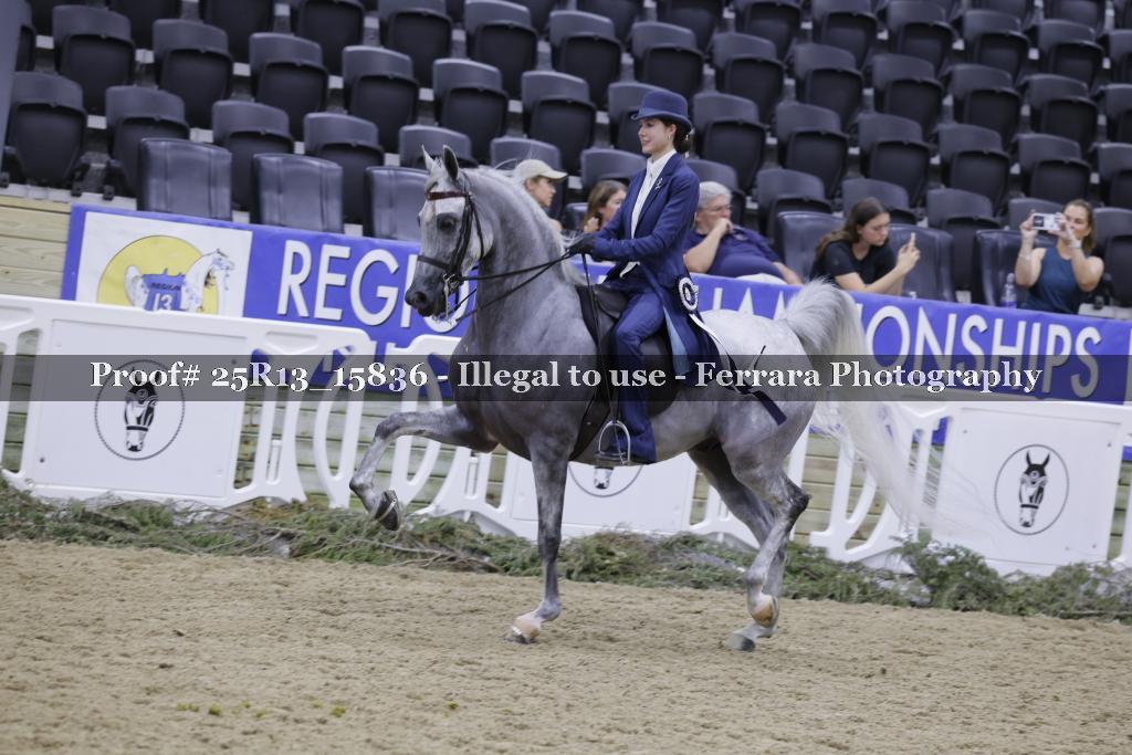 Proof 25R13_15836