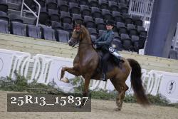 25R13_15837 proof