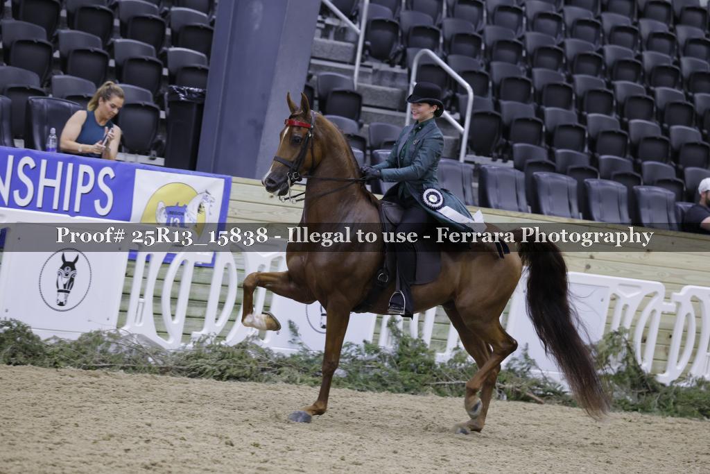 Proof 25R13_15838