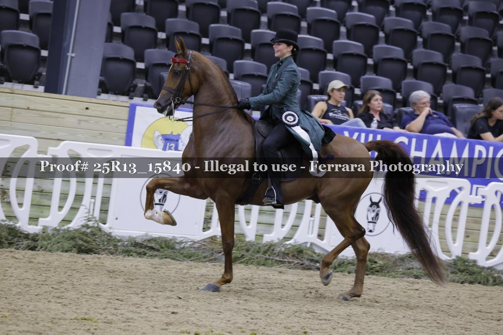 Proof 25R13_15840
