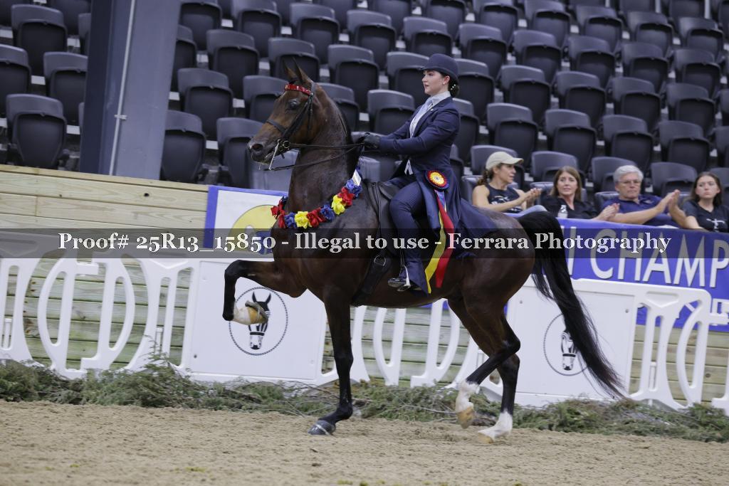 Proof 25R13_15850