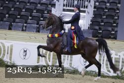25R13_15852 proof