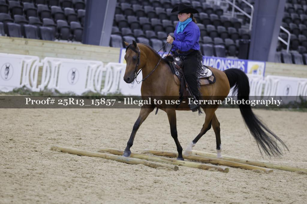 Proof 25R13_15857