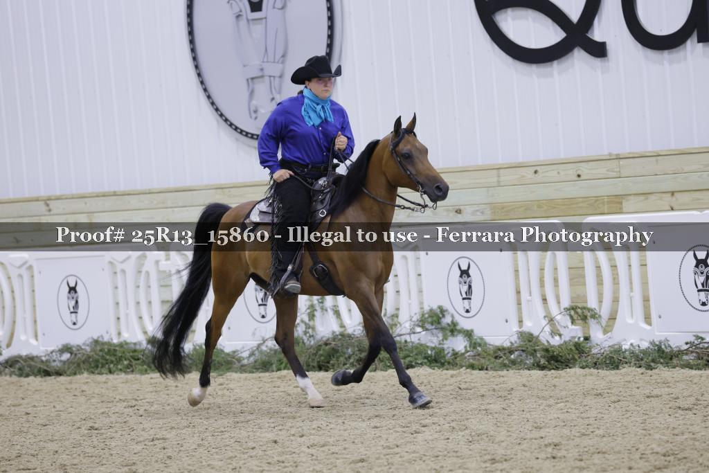 Proof 25R13_15860