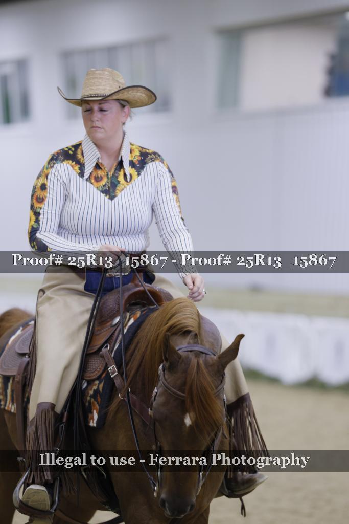 Proof 25R13_15867